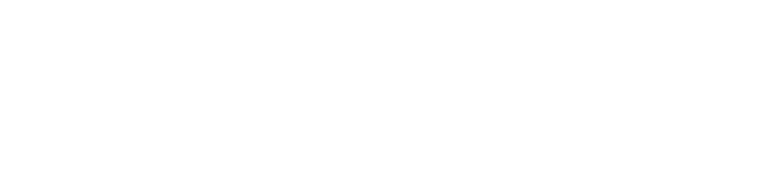 SINNLA Logo